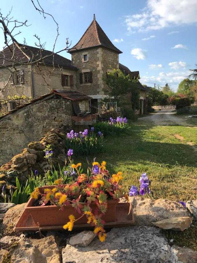 La Maison D Helene Hotel Cambes  ภายนอก รูปภาพ